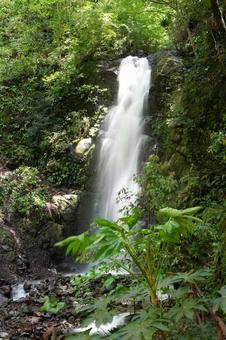 不動滝 不動滝 不動滝,滝,水の写真素材