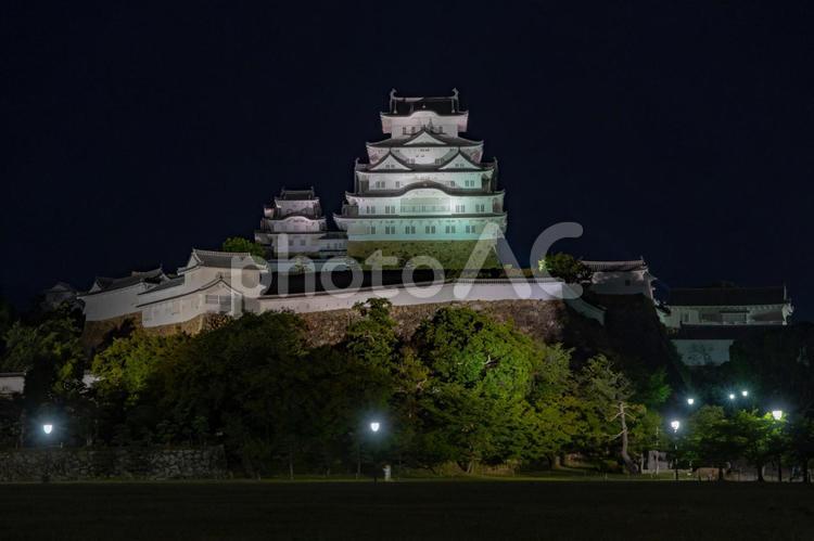 姫路城の夜景 姫路城の夜景 姫路城,夜景,風景の写真素材