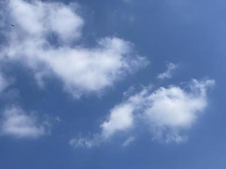 空の雲 空の雲の写真