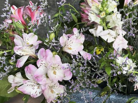 花 花,春,寄せ植えの写真素材