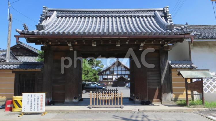 長浜城　伝大手門 長浜城,豊臣秀吉,羽柴秀吉の写真素材
