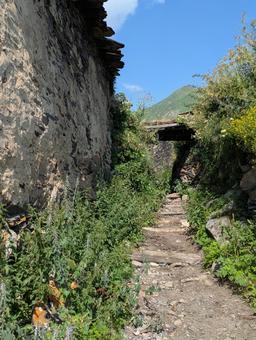 ウシュグリ村の小径 小径,ウシュグリ村,ushguliの写真素材