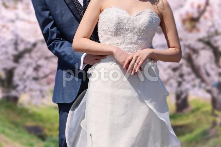 結婚やウェディングのイメージ 結婚,ウェディング,ウエディングの写真素材