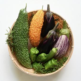 夏野菜 夏野菜の写真