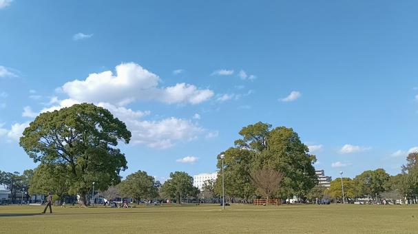 宮崎初冬の休日 休日,公園,晴天の写真素材