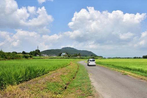 青空と田んぼ 青空と田んぼ 青空,田んぼ,道の写真素材
