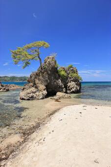 夏の惣津海岸　４ 惣津海岸,海,風景の写真素材