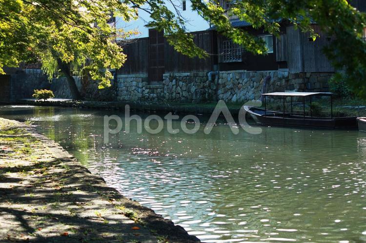 滋賀県近江八幡市の八幡堀と青もみじの景色です 八幡堀,滋賀県,観光地の写真素材