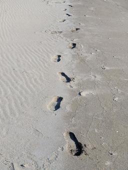 砂浜の足跡 足跡,浜辺,砂浜の写真素材