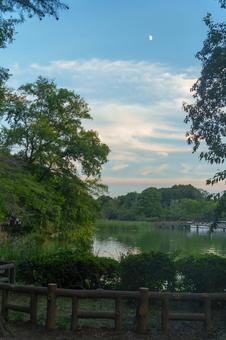 夕方の井の頭公園 夕方の井の頭公園の写真
