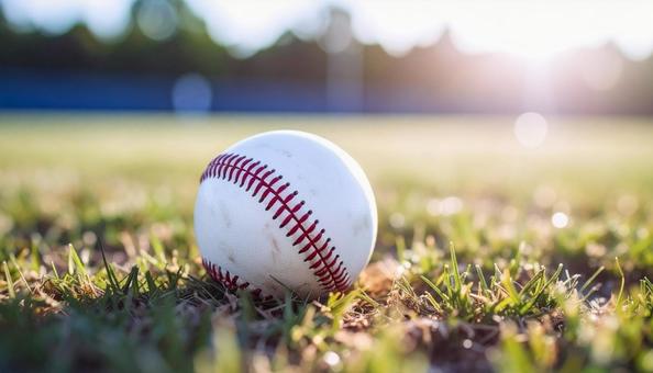 野球ボール 野球ボールの写真