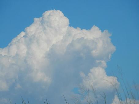 【風景写真】夏空 【風景写真】夏空の写真