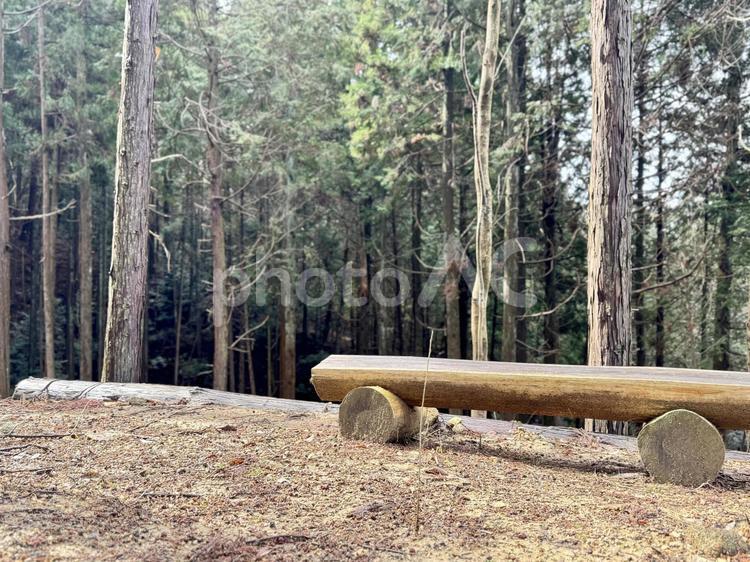 木で作ったベンチのイメージ 自然,イメージ,素材の写真素材