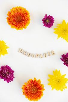 「MENOPAUSE」の文字と丸く並べた花 生理,月経,menopauseの写真素材
