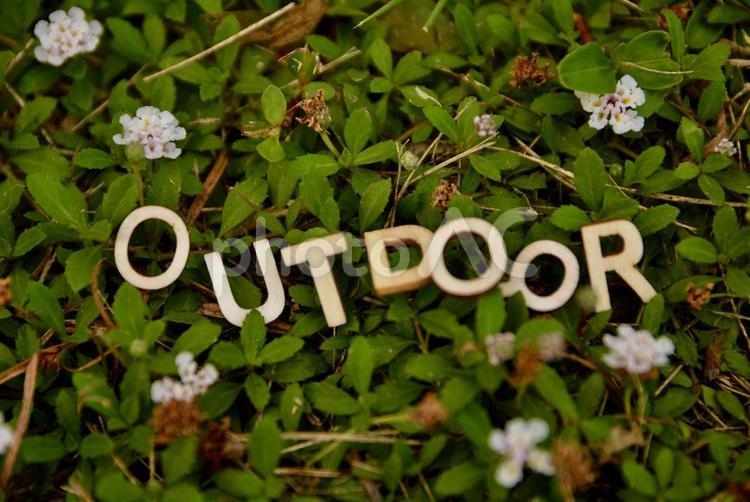 グリーンの中のOUTDOOR アウトドア,小花,花の写真素材