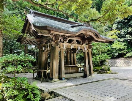 弥彦神社　手水舎の写真