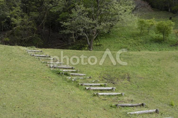 丸木の階段 丸木,階段,上り道の写真素材