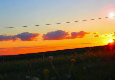 夕焼け空とオレンジに染まる草原の写真