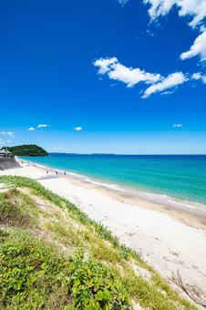 夏の海岸から眺める海 夏の海岸から眺める海 海,海岸,海岸沿いの写真素材