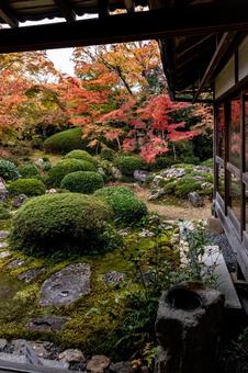 紅葉_031 紅葉_031の写真