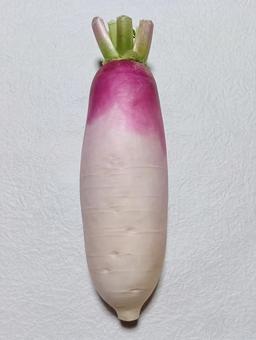 ミニ大根　あやめっ娘の写真