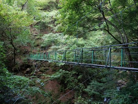 笊ヶ岳 タケ沢 吊り橋 笊ヶ岳 タケ沢 吊り橋の写真