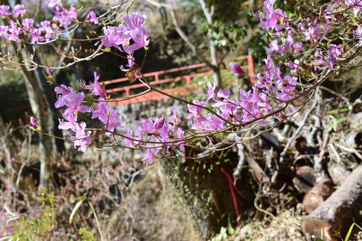 山間にかかる橋 山間にかかる橋の写真
