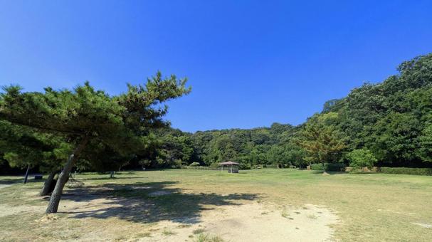 静寂の午後、夏の広場 静寂の午後、夏の広場 鴨池海岸公園,自然,グリーンの写真素材
