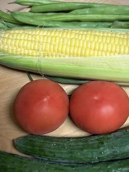 木の皿に並べた新鮮な夏野菜 木の皿に並べた新鮮な夏野菜 野菜,トマト,きゅうりの写真素材