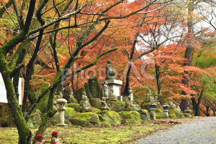 大寧寺　長門　十六羅漢 十六羅漢,大寧寺,長門の写真素材
