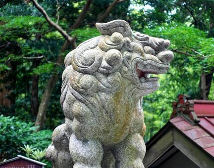 池神社社殿と石段 池神社社殿と石段 社殿,池神社,石垣の写真素材