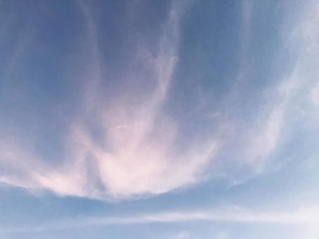 薄い雲 薄い雲の写真