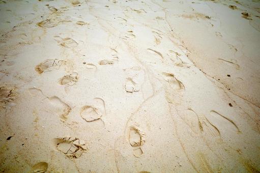 Sandy beach footprints, beach footprints, beach footprints, JPG Sandy beach footprints, beach footprints, beach footprints, JPG