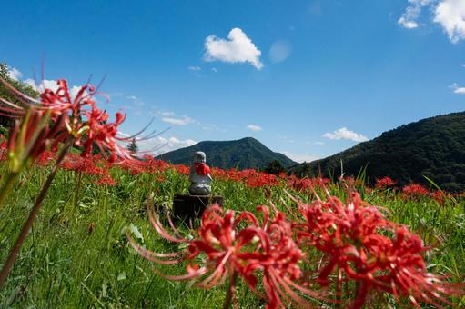秋の赤い彼岸花とお地蔵 秋の赤い彼岸花とお地蔵 彼岸花,地蔵,赤の写真素材