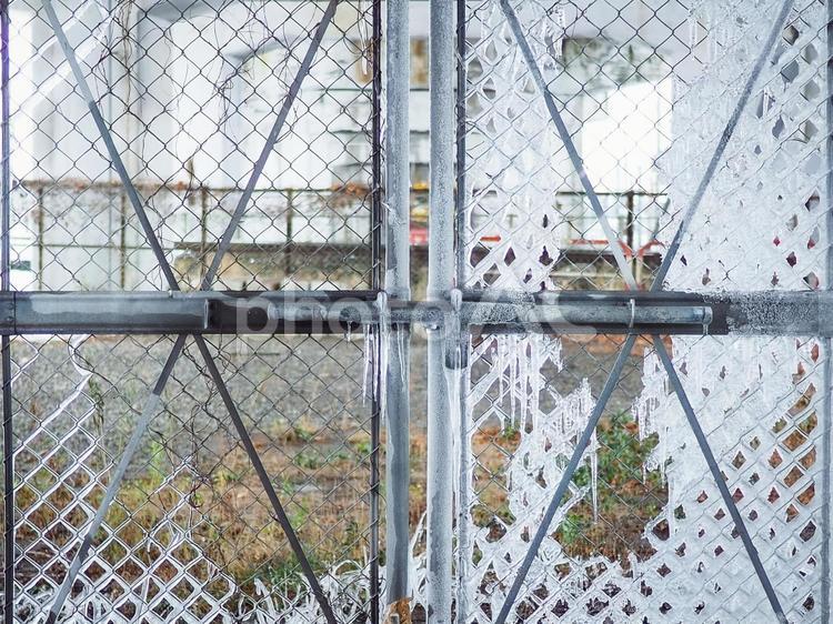 凍るフェンスの模様 氷,フェンス,冬の写真素材