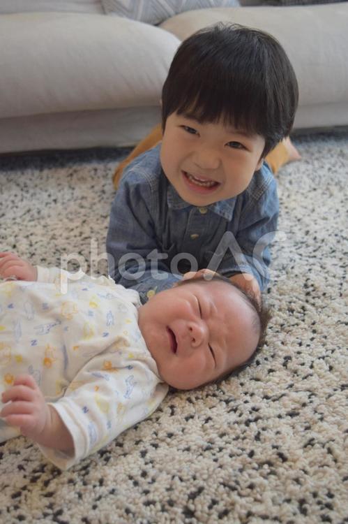 赤ちゃん(男児)大好きお兄ちゃん35日目 赤ちゃん,乳児,男児の写真素材