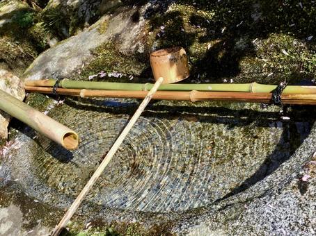Photo, shishido, deer hide, japanese garden, 