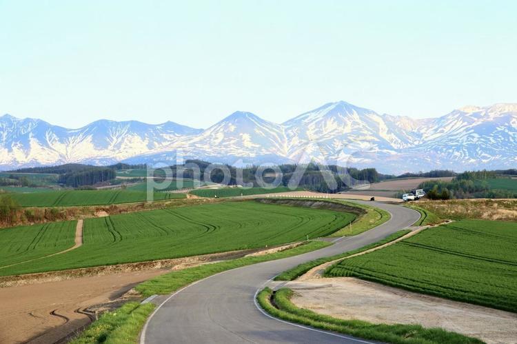 初夏の北海道美瑛町の風景 北海道,美瑛,風景の写真素材