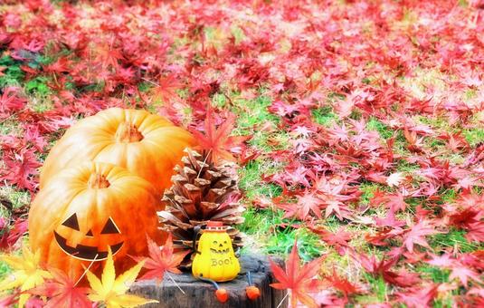 イメージ素材/ハロウィン イメージ素材/ハロウィン ハロウィン,秋,風物詩の写真素材