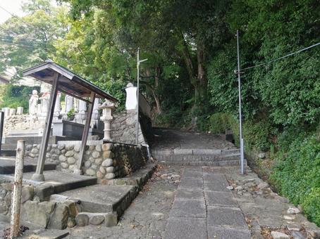 大廣寺 参道 大廣寺 参道の写真