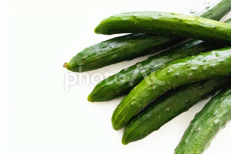 たくさんのきゅうり きゅうり,野菜,食材の写真素材