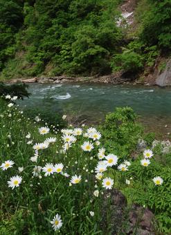 清津峡 清津峡の写真