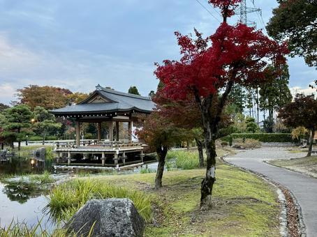 秋の夕方　福井県紫式部公園 紫式部公園,福井県,庭園の写真素材