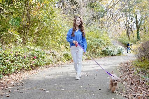 帶著寵物在公園裡散步的女人, 寵物, 女子, 玩具貴賓犬, JPG