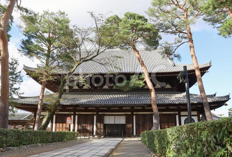 相国寺（京都市上京区）日本現存最古の法堂 相国寺,足利義満,京都の写真素材