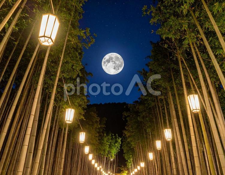 七夕の夜、月明かりに照らされる竹林と星空 七夕,月夜,満月の写真素材