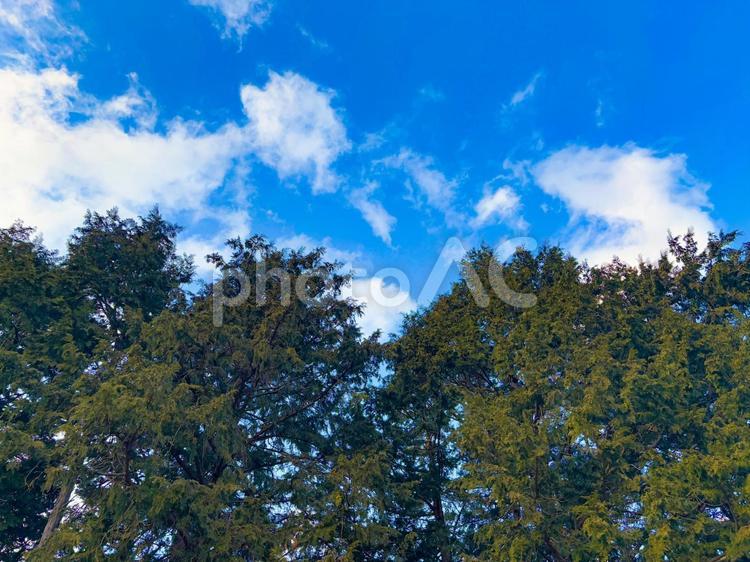 山の木々と青空と白い雲01 山,木々,青いの写真素材
