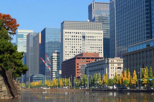 色づいた銀杏と丸の内のビルとお堀　１ オフィス街,ビル,丸の内の写真素材