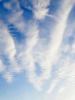 冬空 冬空の写真