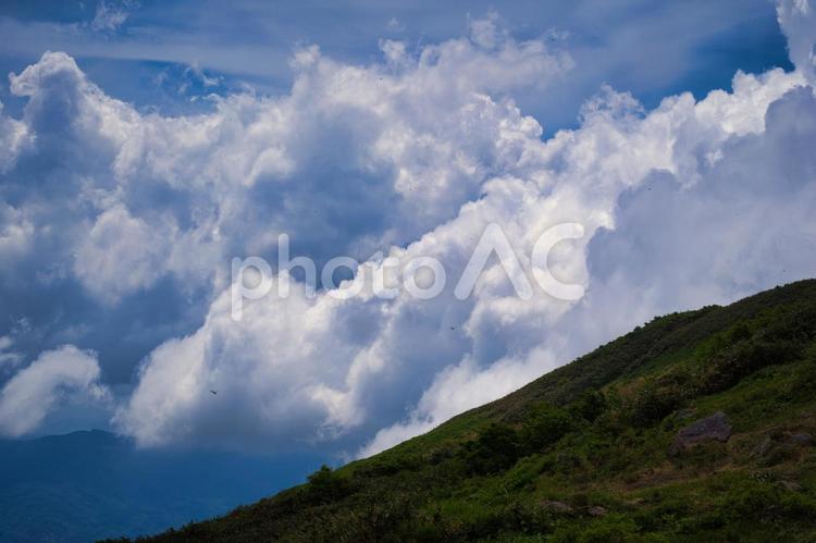 夏模様② 山,空,木の写真素材